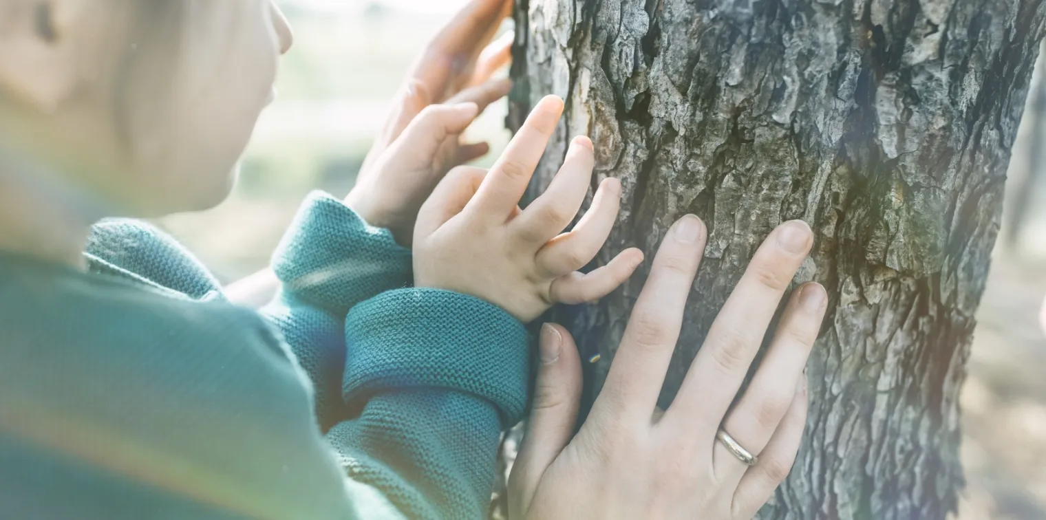 未来の暮らしをつくる