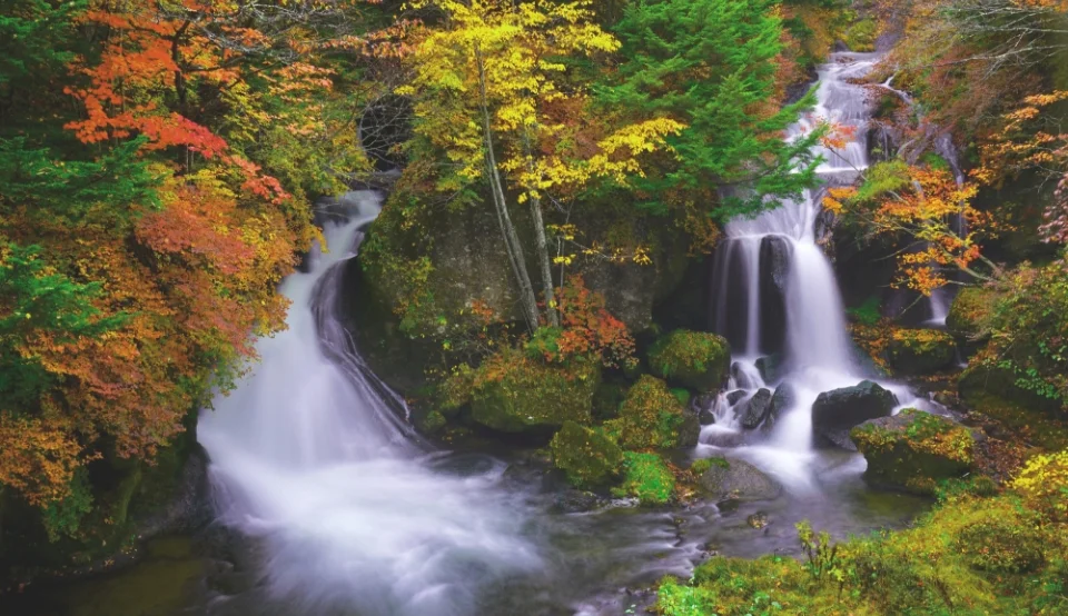 東武 日光霧降高原別荘地
