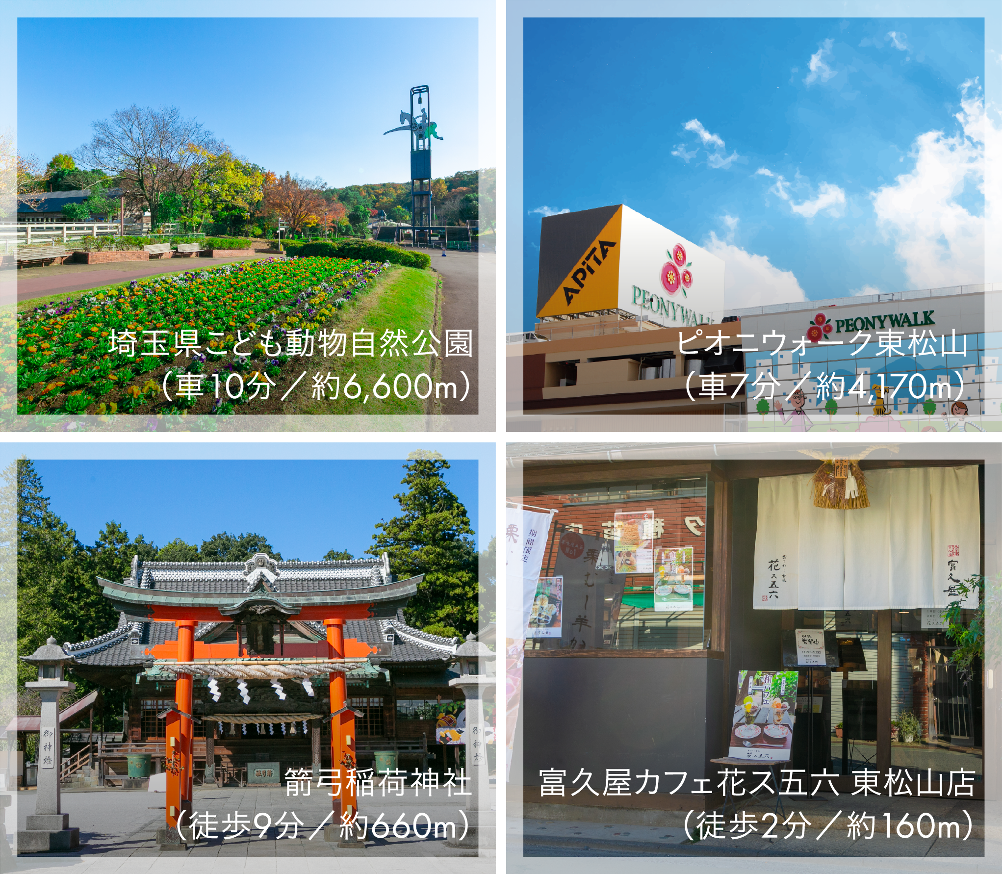 埼玉県こども動物自然公園（車10分／約6,600m）/ピオニウォーク東松山（車7分／約4,170m）/箭弓稲荷神社（徒歩9分／約660m）/富久屋カフェ花ス五六 東松山店（徒歩2分／約160m）