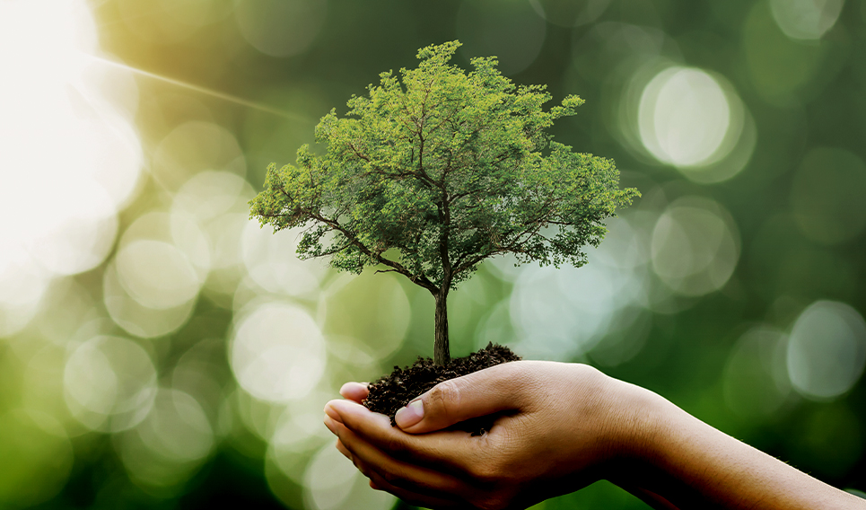 ソライエ若葉レジデンスプレミア