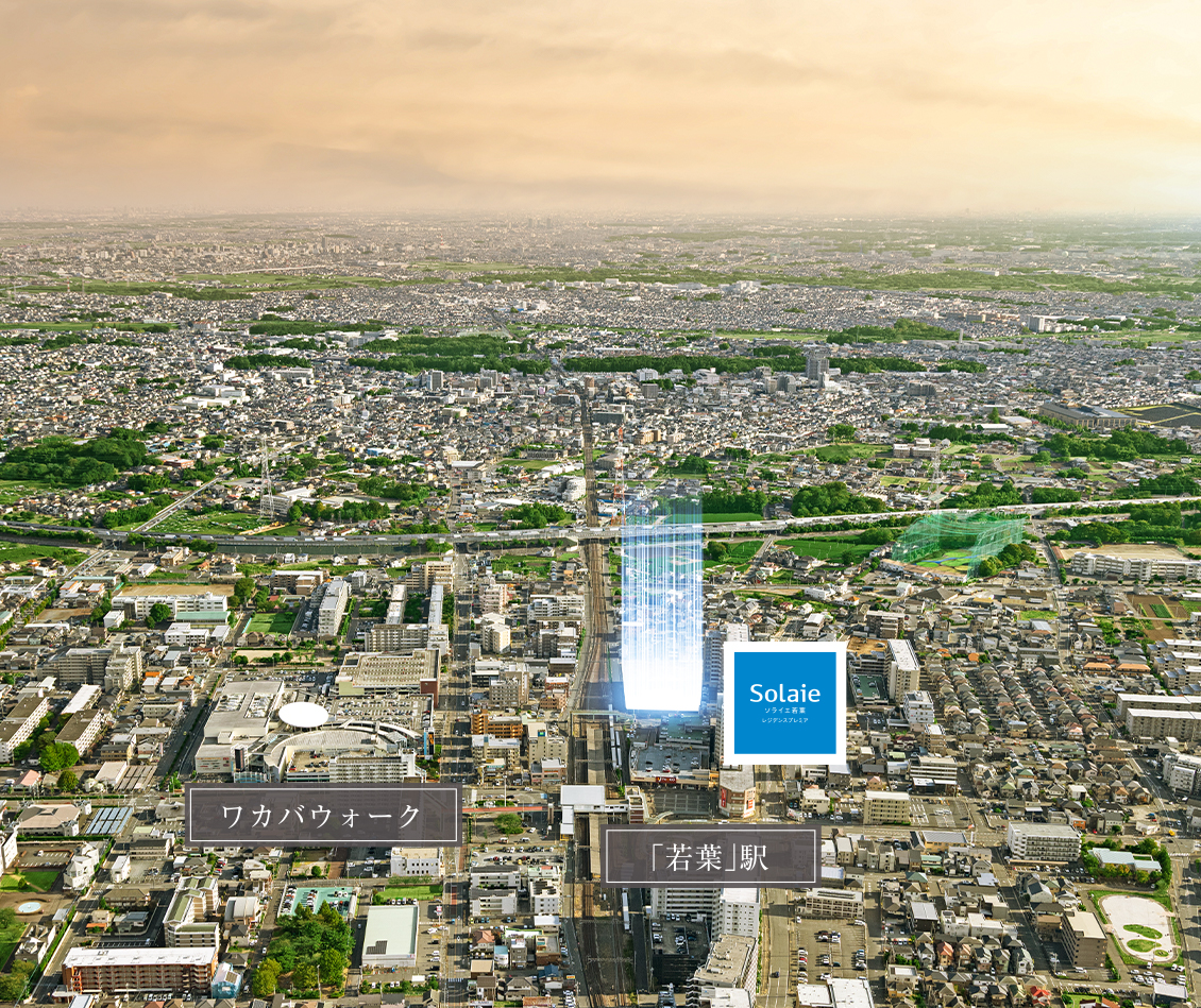 ポジション概念図