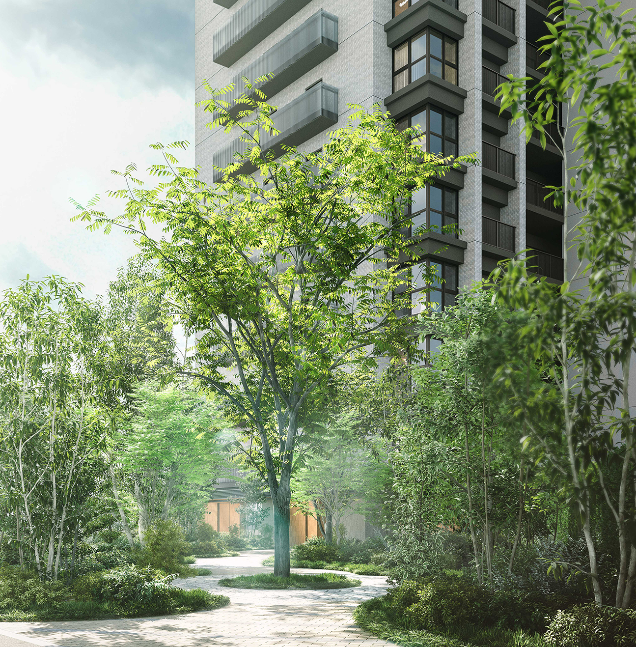 ポジション概念図