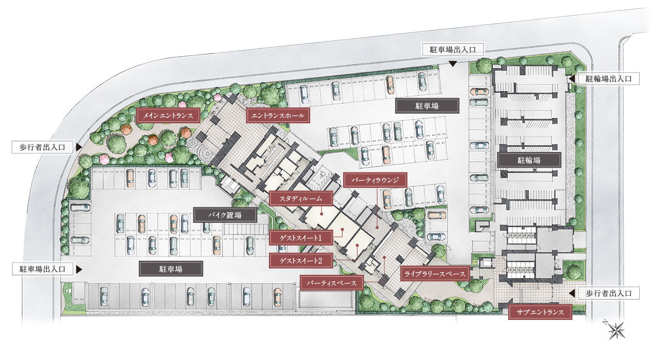 ポジション概念図