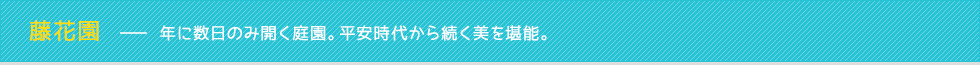 地元スポット005