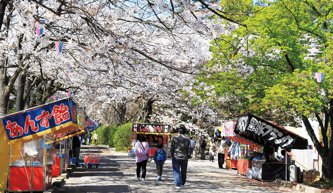 清水公園