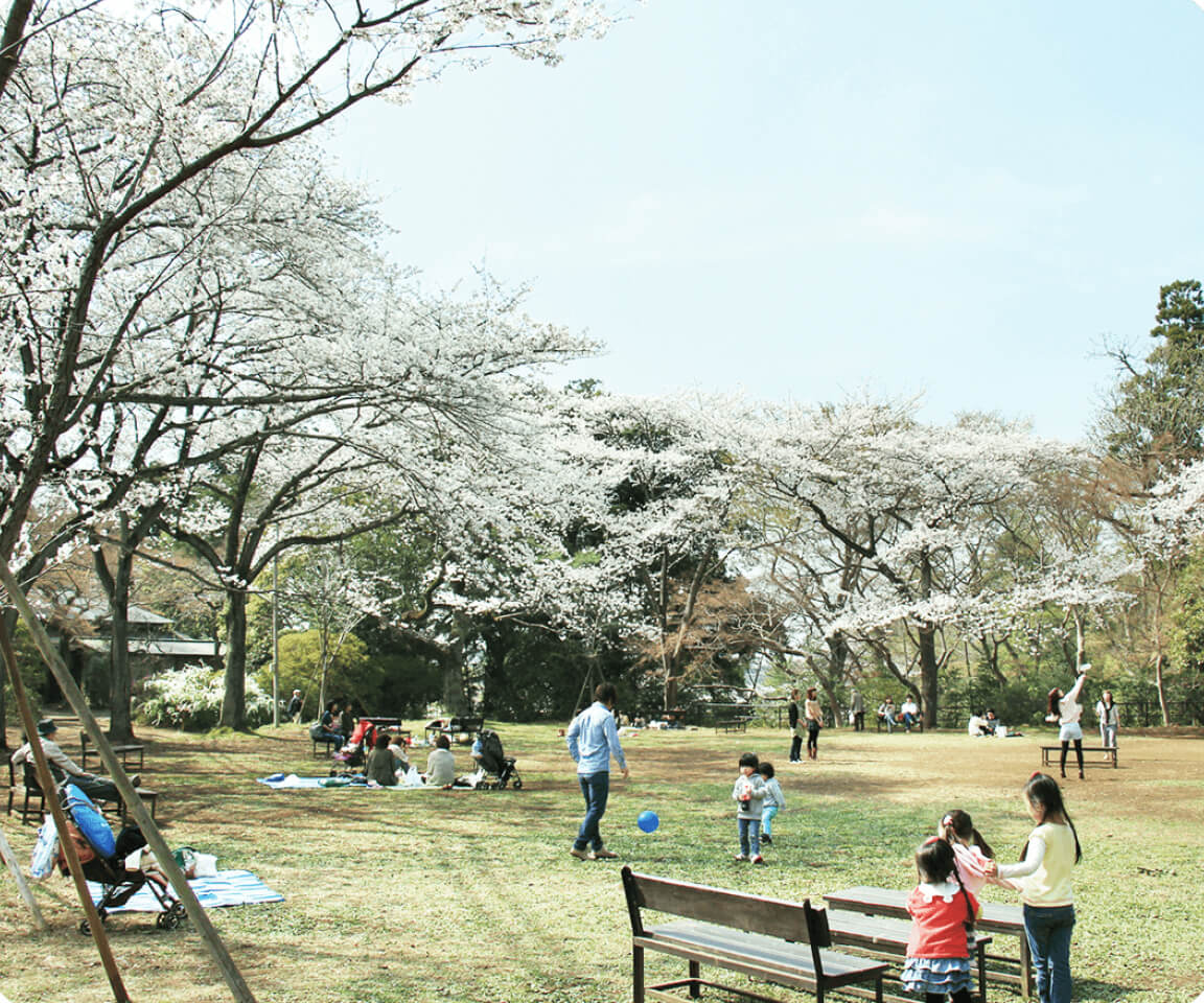 清水公園(2015年4月撮影)