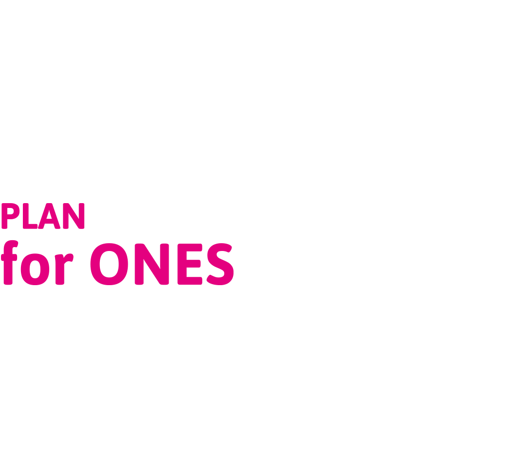PLAN for ONES