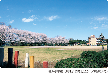 柳沢小学校(現地より約1,120m/徒歩14分)